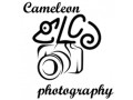 Détails : Cameleon Photography