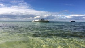 Everglades Miami et Croisiere Miami : Dauphins, Keys