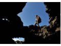 Détails : Tunnels de lave Réunion 